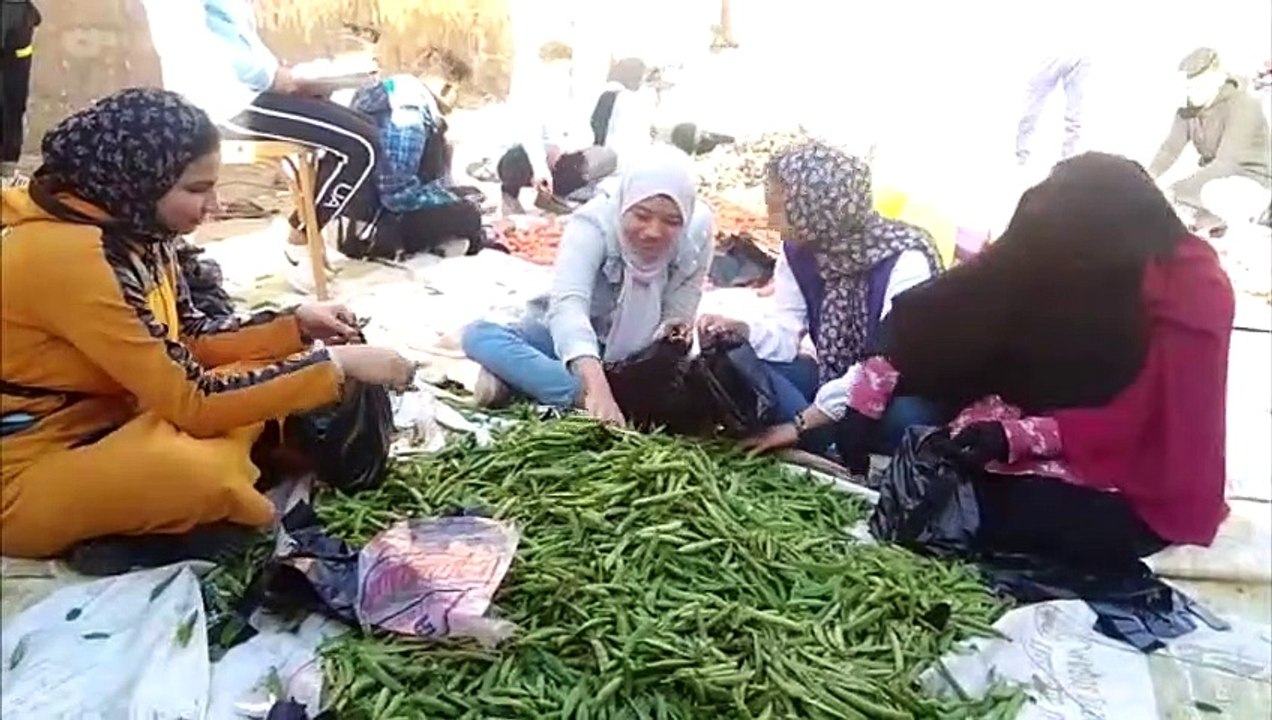خضار وفاكهة.. شباب بالشرقية ينظمون مبادرة لإطعام البسطاء‎‎