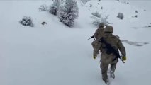 Jandarma ekipleri donmak üzere olan yaralı tilkiyi kurtardı