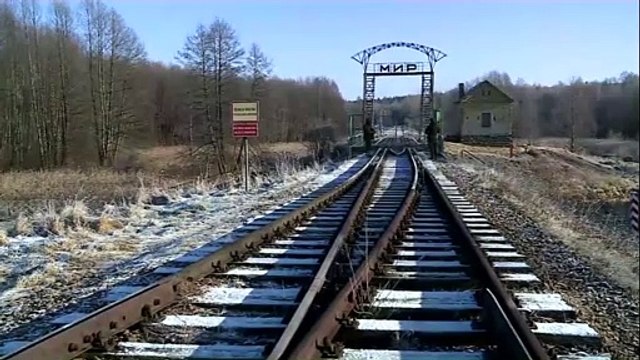 Polónia detém traficantes de migrantes na fronteira com a Bielorrússia