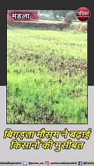 मंडला : बिगड़ता मौसम ने बढ़ाई किसानों की मुसीबत