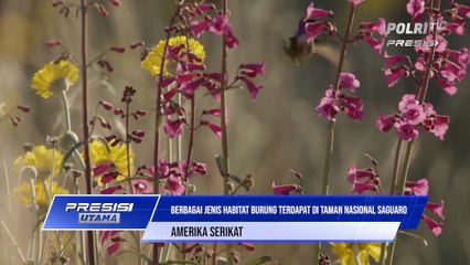 Destinasi Wisata Nasional Saguaro