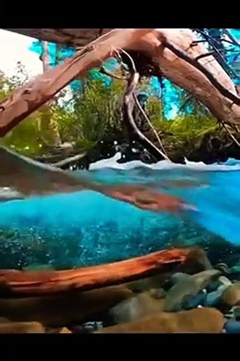 Under Water 4K