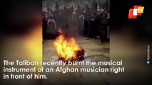 Video: Taliban Burns Musical Instrument In Front Of Afghan Musician