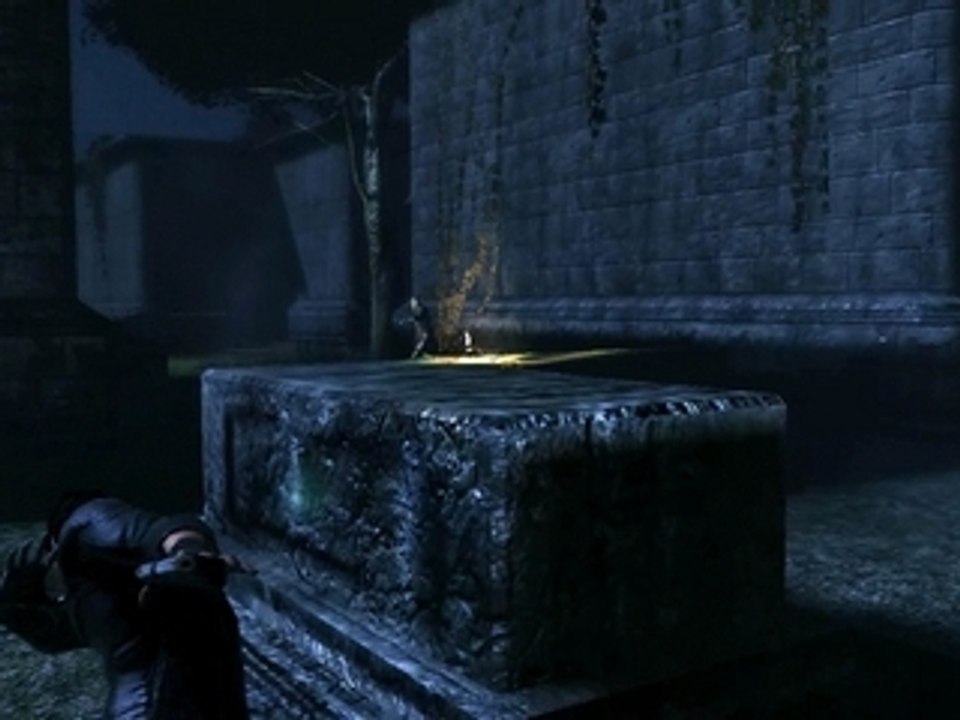 Darksector multiplayer