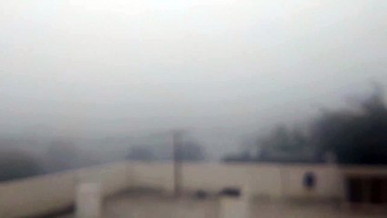 Weather Forecast- सर्दी का सितम जारी, 18 जिलों में कोल्ड वेव और कोल्ड डे के साथ घने कोहरे का यलो अलर्ट