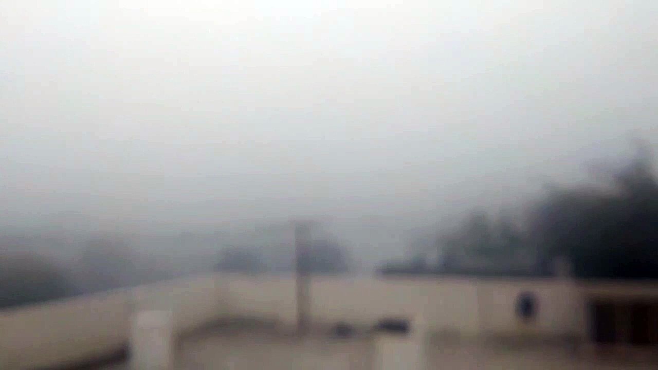 Weather Forecast- सर्दी का सितम जारी, 18 जिलों में कोल्ड वेव और कोल्ड डे के साथ घने कोहरे का यलो अलर्ट