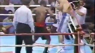 Genaro Hernandez Vs Harold Warren (11-10-1993) Full Fight