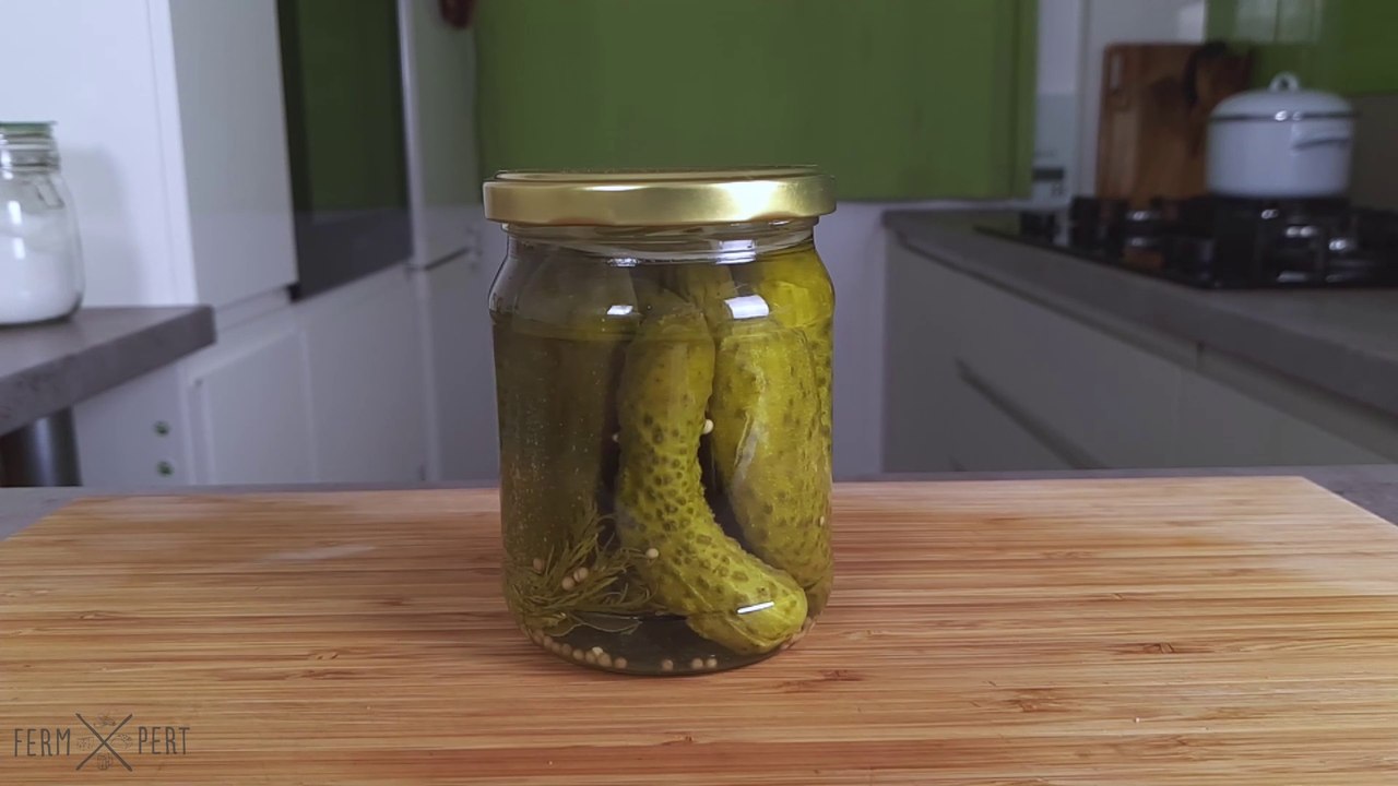 [EN] Vinegar Pickled Gherkins