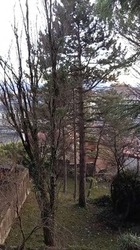 Fort de La Bastille Grenoble 2022 #France (36)