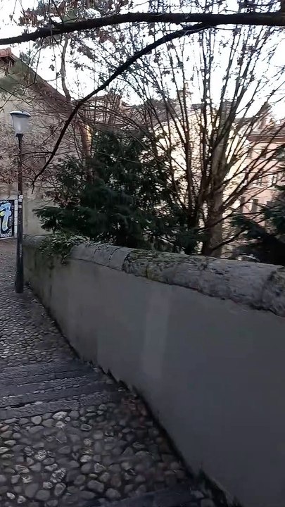 Fort de La Bastille  Grenoble 2022  #France (37)