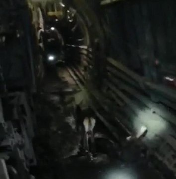 ANKARA'DA GEYİK MADEN OCAĞINA GİRDİ