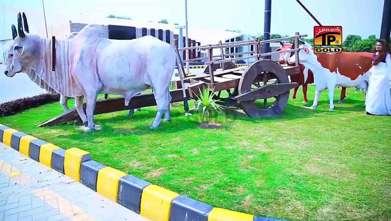 Chita Soot- - Wajid Ali Baghdadi - Latest Song 2017 - Latest Punjabi And Saraiki