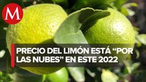 En Michoacán, precio del limón está 