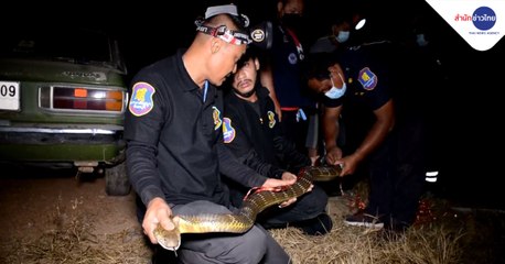 9 ข่าวเช้า (ช่วงที่ 5) วันจันทร์ที่ 17 มกราคม 2565