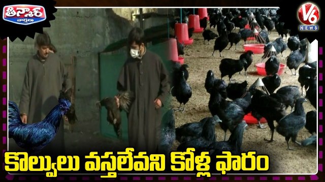 Engineering Students Starts Kadaknath Chicken Poultry Farm In Kashmir _ V6 Teenmaar