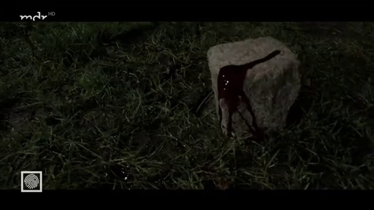 Kripo live  16.01.2022 Mann wurde gesteinigt