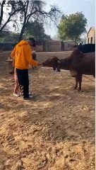 अभिनेता अक्षय कुमार पहुंचे रणथम्भौर