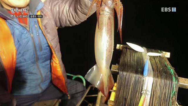 한국기행 - Korea travel_이 맛에, 겨울 울릉도 1부- 땡큐, 나의 바다_#001