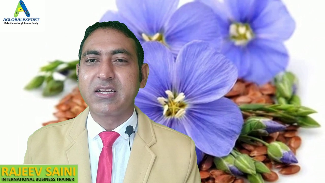 How to export flaxseeds from india, flaxseeds, flaxseed, flaxseedsexport