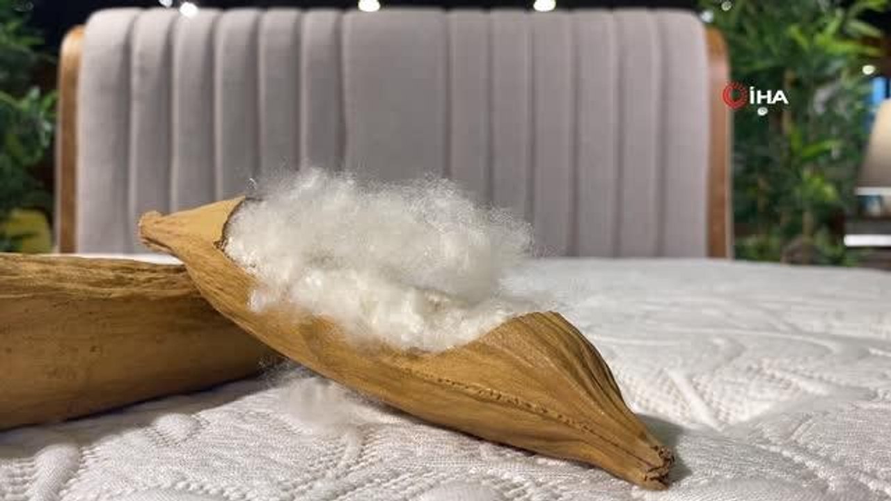 Tropik yağmur ormanlarından gelen doğallık Bambi Yatak ile buluştu