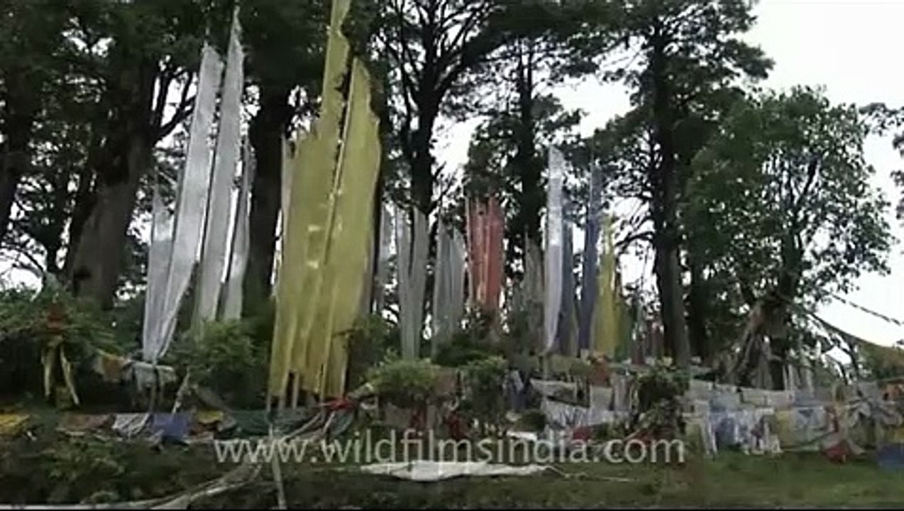 Prayer flags for luck, Bhutan