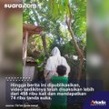 Viral Ibu Cuma Bisa Maternity Shoot di Kandang Ayam, Hasilnya Bikin Air Mata Menetes