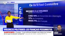 Violences politiques: les Français plutôt pessimistes, selon une étude internationale