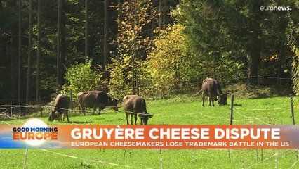 Gruyere refers to style not location says US trademark ruling
