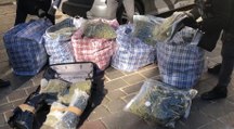 Montesilvano (PE) - Deposito di marijuana in casa: arrestato trafficante, percepiva Reddito di Cittadinanza (17.01.22)