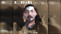 Zeyn'el - Ey Benim Divane Gönlüm (Official Audio)