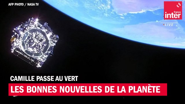 Les bonnes nouvelles de la Planète du 14 janvier 2022