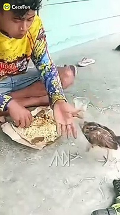 Tiktok video