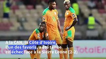 Football/CAN: la Côte d'Ivoire trompée par son gardien