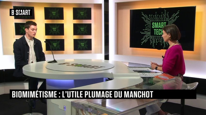 Biomimétisme : l'utile plumage du manchot 