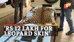 Wildlife Poaching | Leopard Skin Seized; 5 Arrested