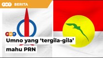 Umno yang ‘tergila-gila’ mahu PRN, dakwa pemimpin DAP Johor