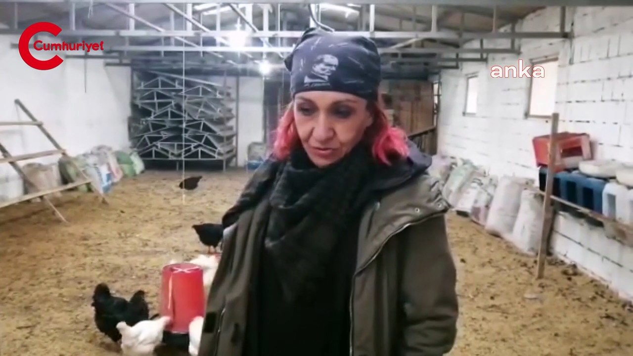 Batma noktasına gelen tavuk çiftliği sahibi Sarıgöl: Ben yemiyorum, 'Buyurun siz yiyin' diyorum tavuklara