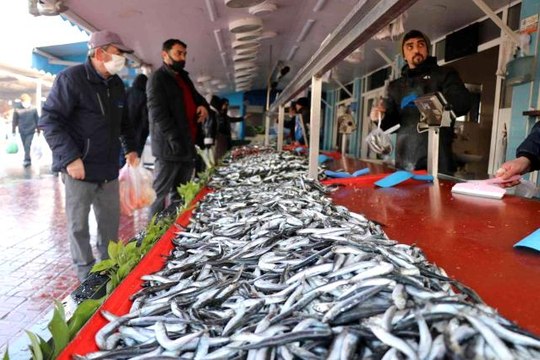 Balıkçılar fırtına nedeniyle denize açılamadı, hamsinin fiyatı 50 liraya kadar çıktı