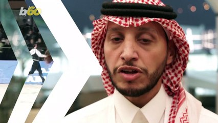 Horses Compete in a Beauty Pageant in Saudi Arabia