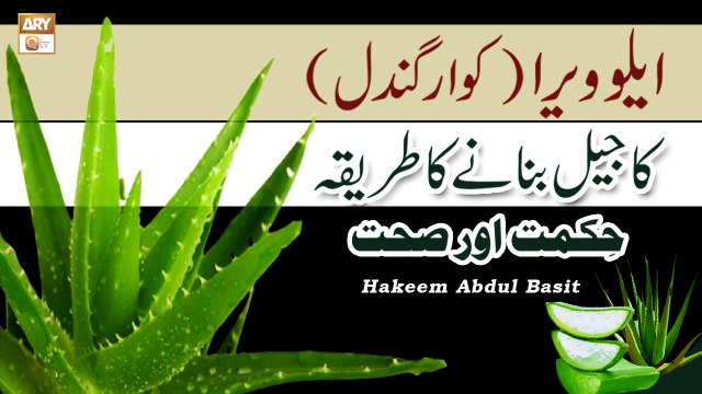 Aloe Vera Ka Gel Banane Ka Tarika - How To Make Aloe Vera Gel - Hakeem Abdul Basit