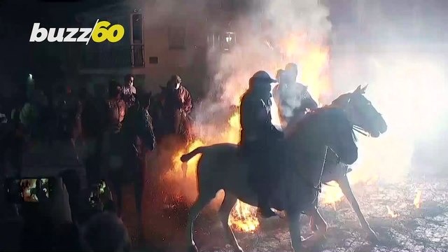 No Horseplay! Spanish Festival Features Horses Jumping Through Bonfires as Part of Purification!
