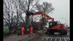 Un arbre plus fort qu'un camion