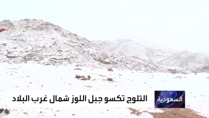 كاميرا العربية ترصد الثلوج تكسو جبال اللوز في السعودية
