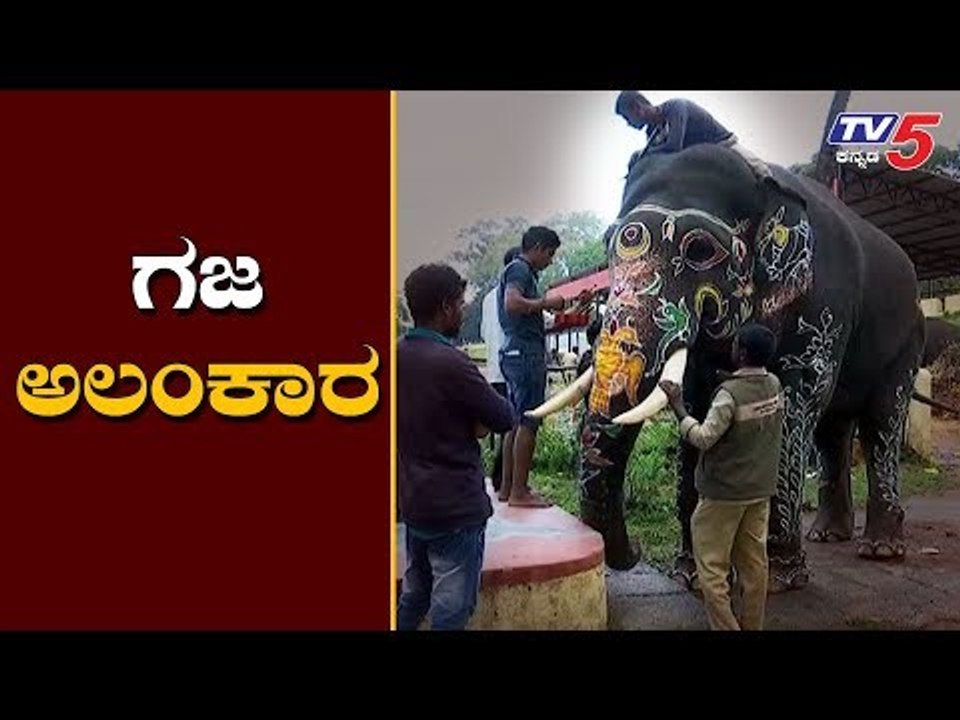 Mysore Dasara 2019 - Elephant Body Painting in Mysore Palace | TV5 Kannada