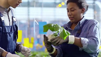 Prevé algunas enfermedades respiratorias de la temporada