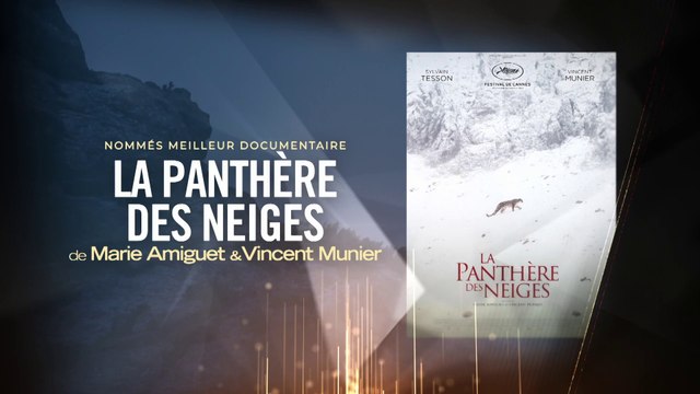 La Panthère des Neiges, prix du Meilleur Film Documentaire - Lumières 2022