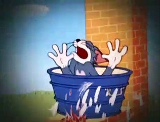 Tom and Jerry S01E20 Landing Stripling [1962]