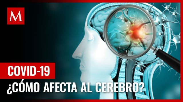 Estudio advierte: el coronavirus puede provocar problemas neurológicos