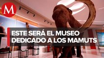 Quinametzin, el museo dedicado a los mamuts y cercano al AIFA