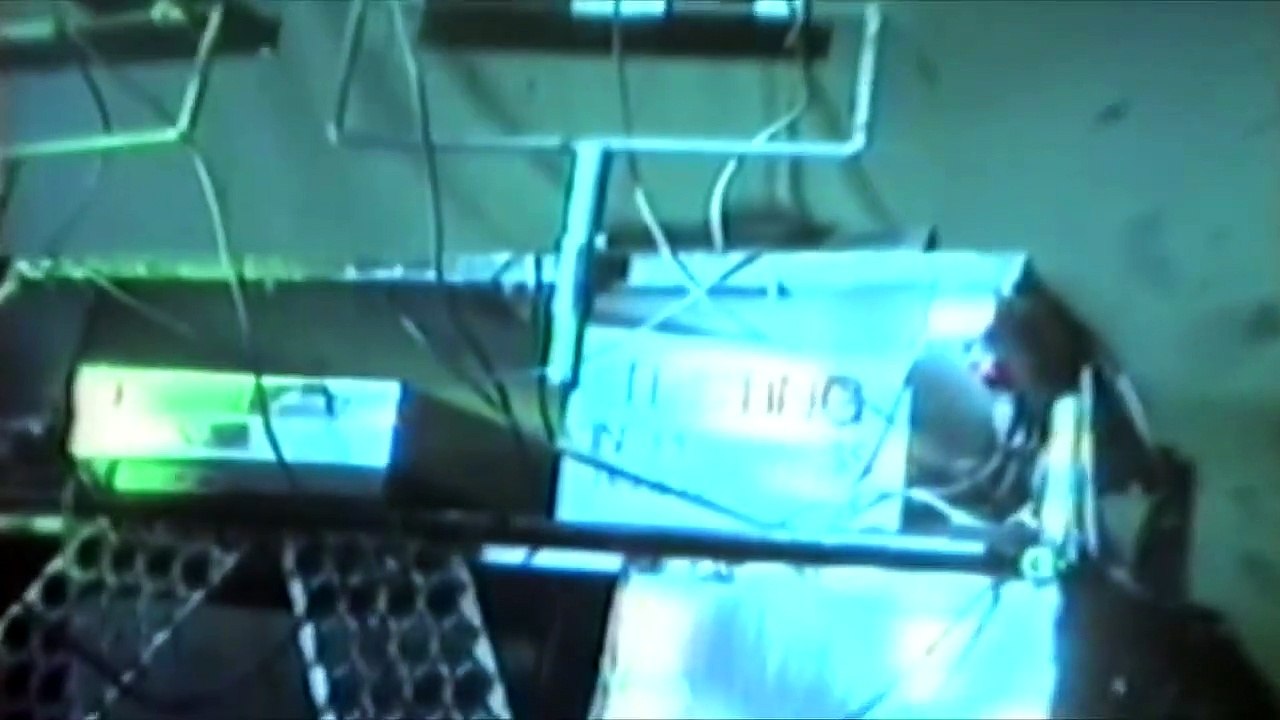 Skinny Puppy - Live 1986
